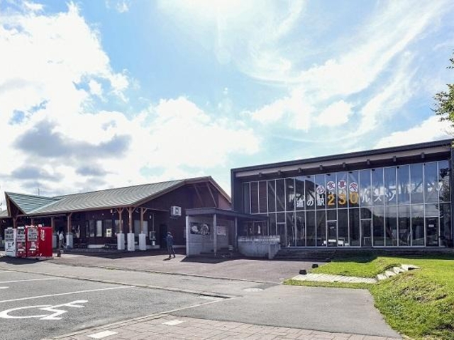 230���X�c�̎ʐ^1