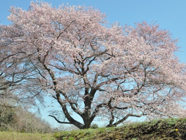 ��؈͊L�ˈ�Ռ����̍��̎ʐ^1