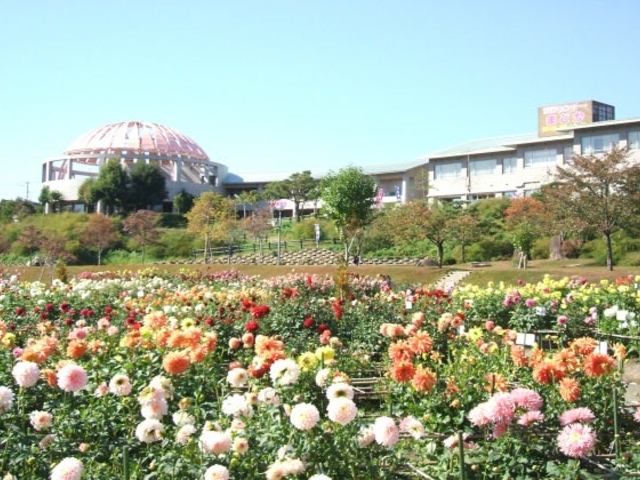 �쐼����̎ʐ^1