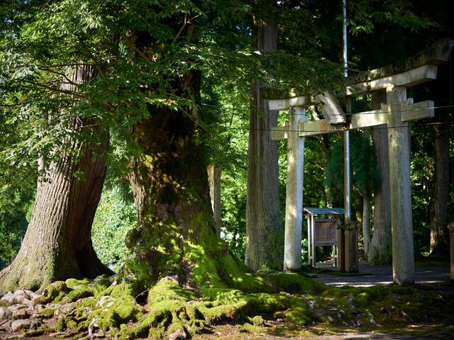 ���R�_�Ђ̎ʐ^1