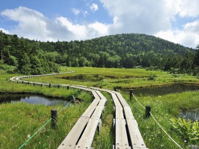 �l�\���r�����̎ʐ^1