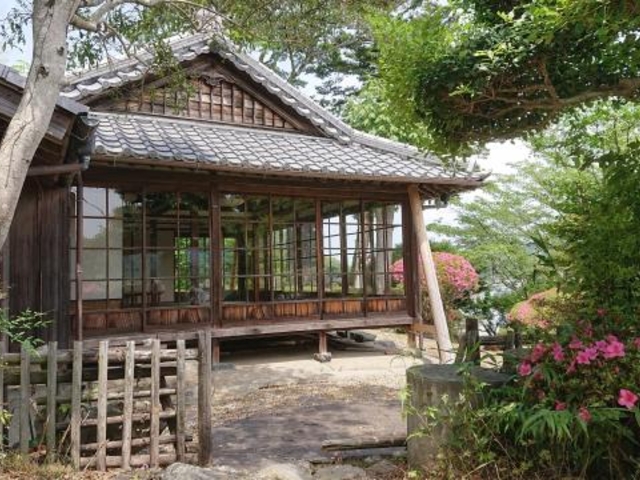 �Օ����̎ʐ^1