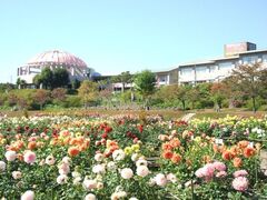 �쐼����̎ʐ^1