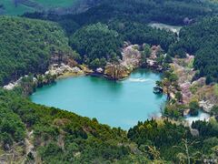 ���c�R���R�����̎ʐ^1