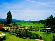 ���g���[�Y�K�[�f���̎ʐ^3