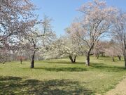 ��؈͊L�ˈ�Ռ����̍��̎ʐ^2