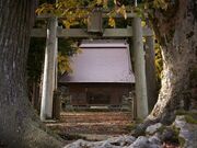 ���R�_�Ђ̎ʐ^2