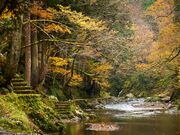 �X�Ɛ�̗V�����̎ʐ^3