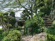 �Օ����̎ʐ^3