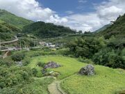 �ӂꂠ���̗�����̎ʐ^4