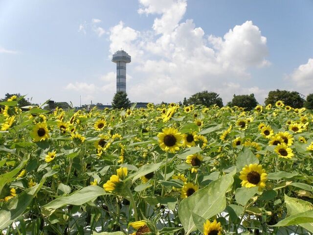 �ؑ]�O������@�Ă̐�����̎ʐ^1