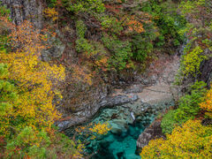 �t�m���̍g�t�̎ʐ^1