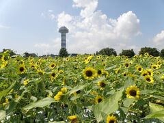 �ؑ]�O������@�Ă̐�����̎ʐ^1