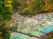 �t�m���̍g�t�̎ʐ^2