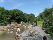 �ؑ]�O������@�Ă̐�����̎ʐ^2