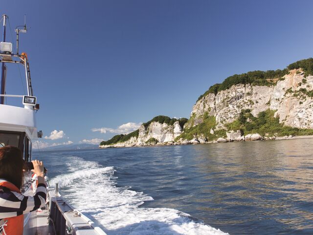 �n�����V���̎ʐ^1