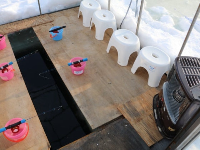 �킩�����ނ�̌�