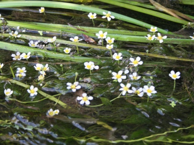 �~�ԑ��̎ʐ^1