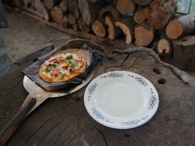 �Ηq�̃s�U_�_�Ƃꂷ�Ƃ��@�Ȃ��݈�