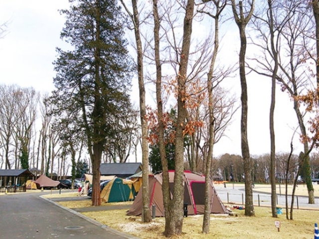 �O���R�ӂꂠ�������L�����v��_�O���R�ӂꂠ�������@�L�����v��