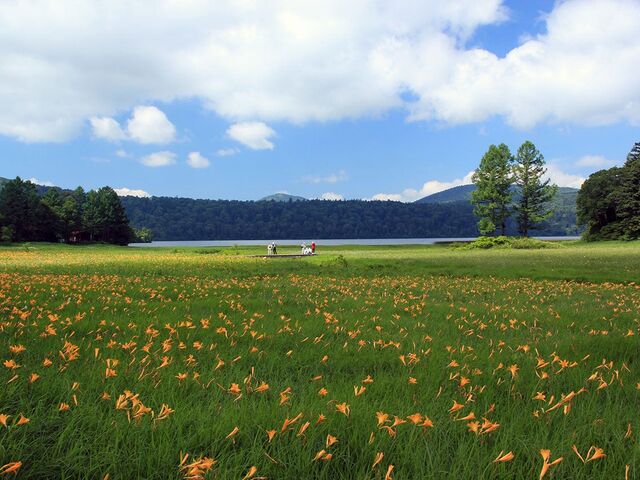 �������������̎ʐ^1