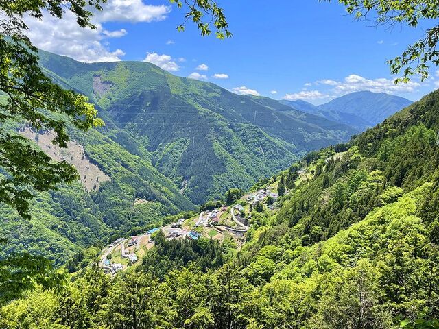 ���I�V��̗��r���[�|�C���g�̎ʐ^1