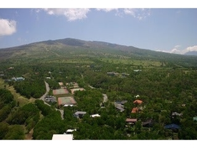 ��̌������̎ʐ^1