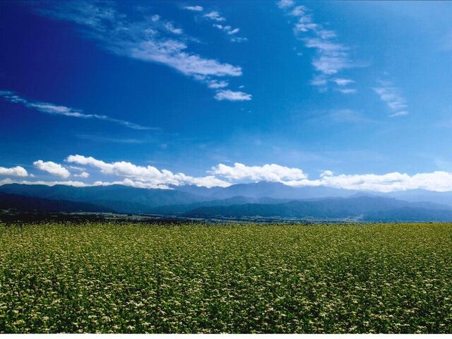 MBΔ˂̒niɓߎsj̎ʐ^1