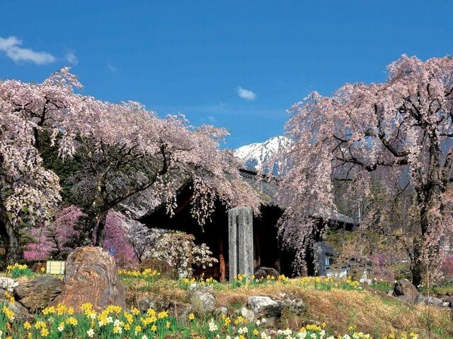 ��ώR���O���̎ʐ^1