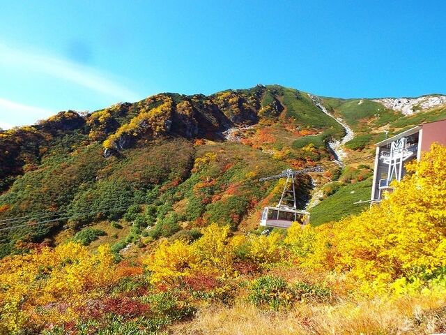 �����A���v�X ��x���[�v�E�F�C