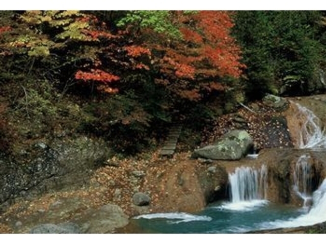 �����ȁi�����ǂ�B���̑�E��ˎ��r�j�̎ʐ^1