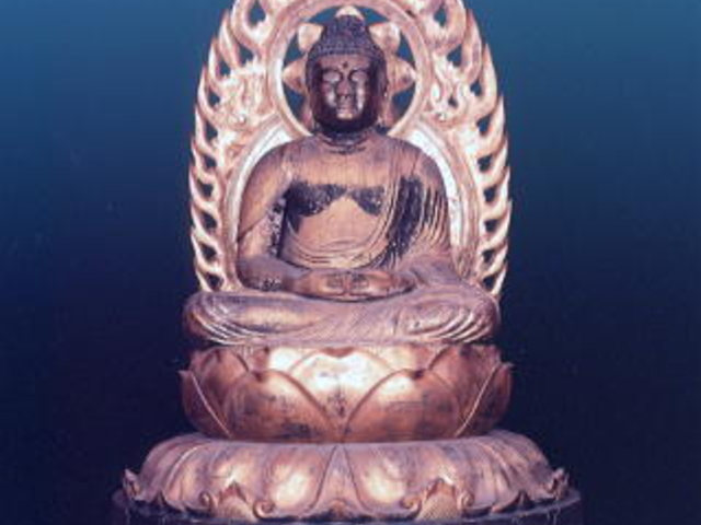 �������̎ʐ^1