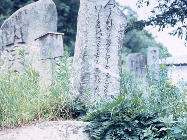 ���t�̉̔�̎ʐ^1