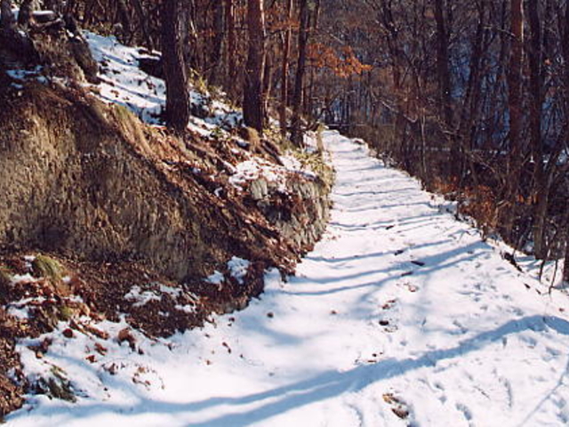 �ܗ������o�R���̎ʐ^1