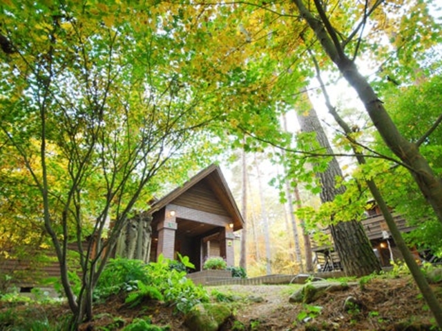 �G�{���p�ف��R�e�[�W�@�X�̂������̎ʐ^1