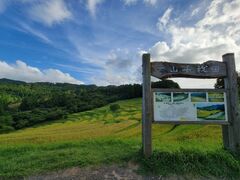 ��R�疇�c�̎ʐ^1