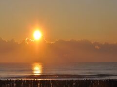 �����̏o�i�ЊL�C�݁j�̎ʐ^1