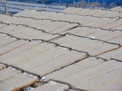 ����̊��V���K�C�h�E�H�[�N�̎ʐ^