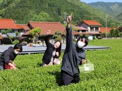 ������]�u�����e���X�v�Ŗ����ސ����̌��̎ʐ^