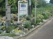 �R�`�S���t�����[������@�H�O���c�w�̎ʐ^4