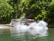 �������p�o�Xin����_���S�H�΂̎ʐ^1