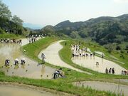 ��R�疇�c�̎ʐ^4