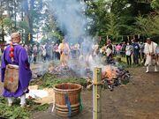 ��R�s�����̎ʐ^4