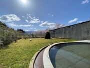 ���Ύ��J���� ���l�̓��̎ʐ^2