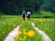 �������������̎ʐ^2