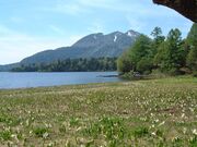 �������������̎ʐ^3