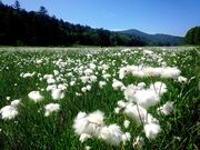 �������������̎ʐ^4