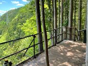 ���I�V��̗��r���[�|�C���g�̎ʐ^2