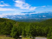 ���􍂌��̎ʐ^2