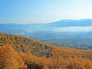 ���􍂌��̎ʐ^3